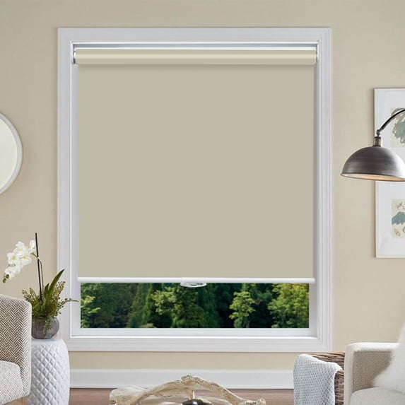 Blackout Roller Shades, Cordless Roller Window Blinds with Thermal Insulated for Office, Living Room, Bedroom, Kitchen, Easy Installation--Beige+65"W x 60"H