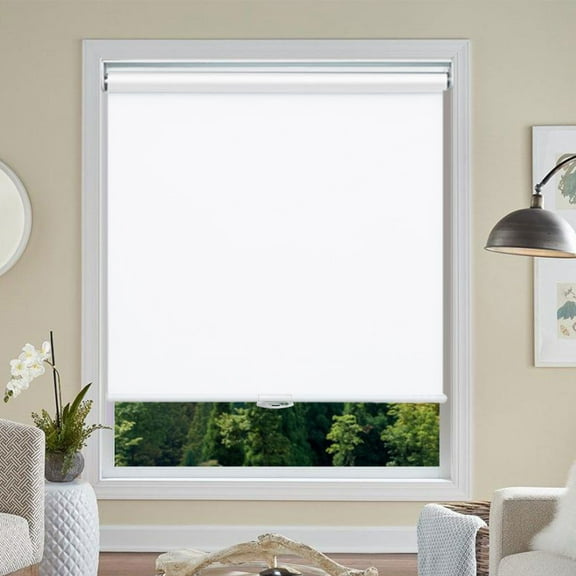 Blackout Roller Shades, Cordless Roller Window Blinds with Thermal Insulated for Office, Living Room, Bedroom, Kitchen, Easy Installation--Blackout White+25"W x 38"H