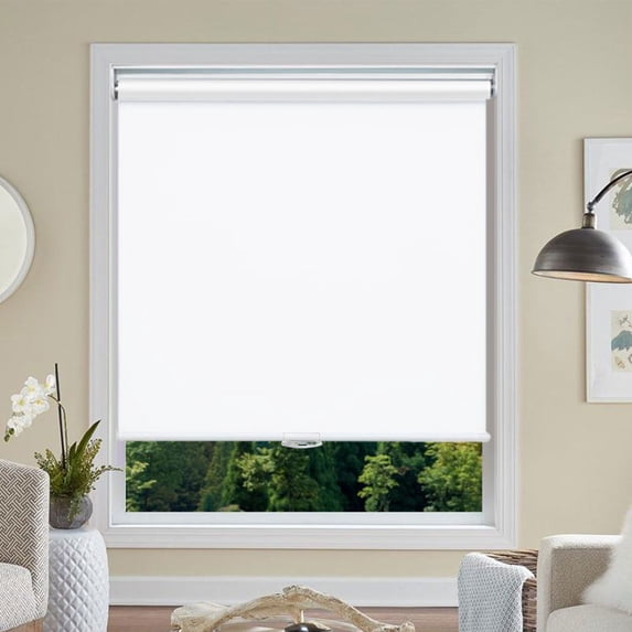 Blackout Roller Shades, Cordless Roller Window Blinds with Thermal Insulated for Office, Living Room, Bedroom, Kitchen, Easy Installation--Blackout White+25"W x 75"H