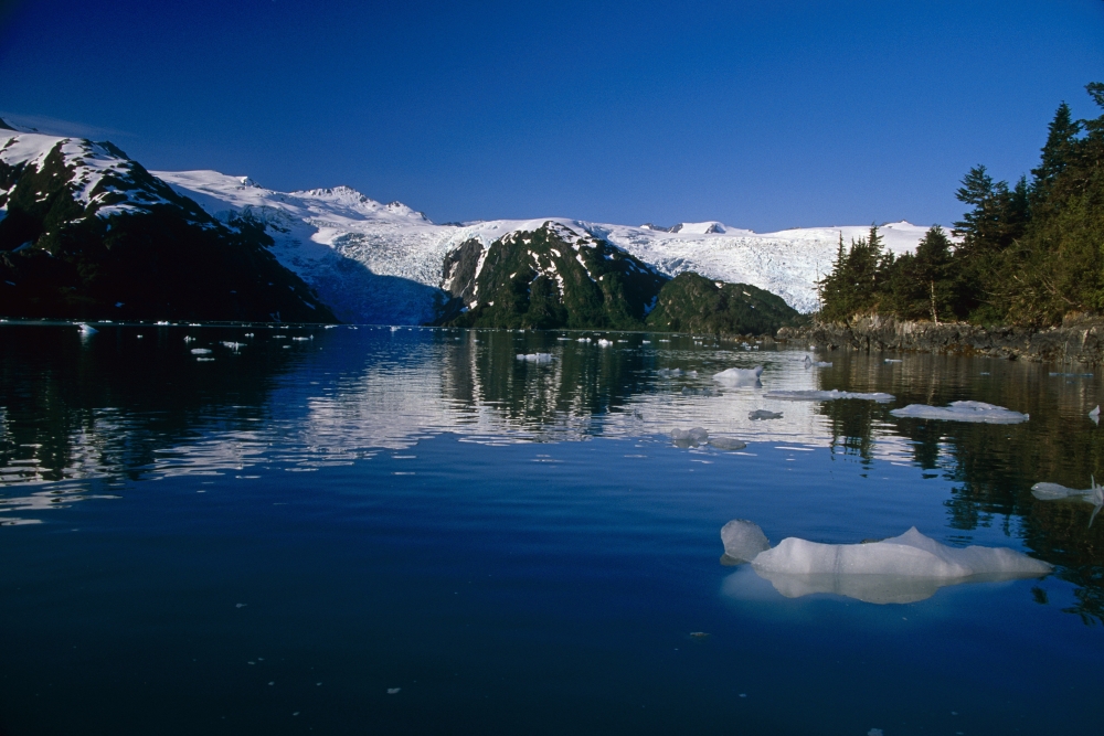 Blackstone Bay Blackstone Glacier Pws Summer Alaska Canvas Art - Jeff Schultz Design Pics (17 x 11)
