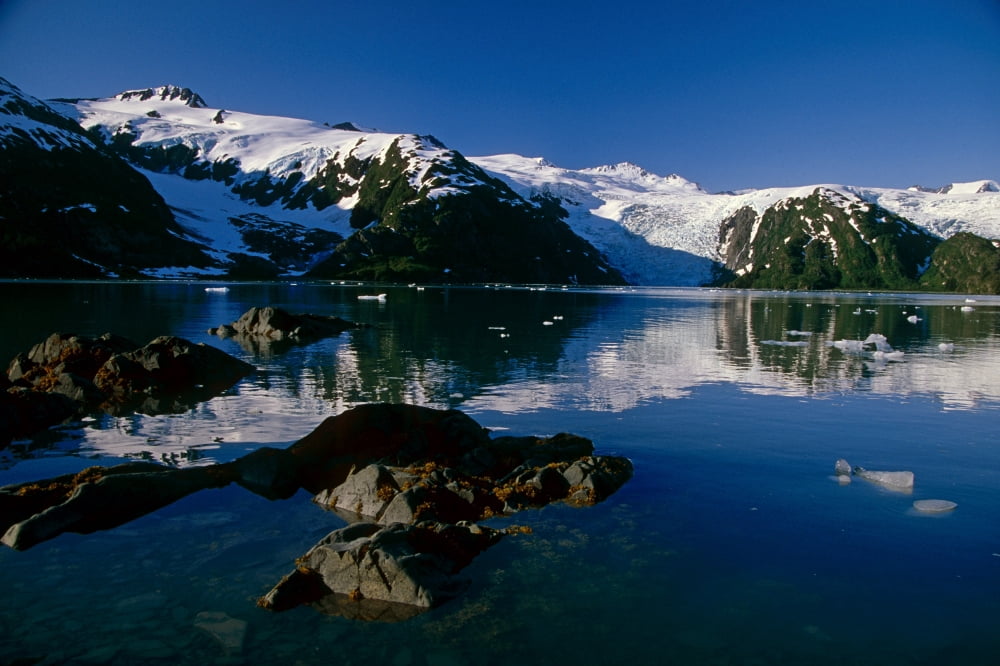 Blackstone Bay Blackstone Glacier Pws Summer Alaska Canvas Art - Jeff Schultz Design Pics (34 x 22)