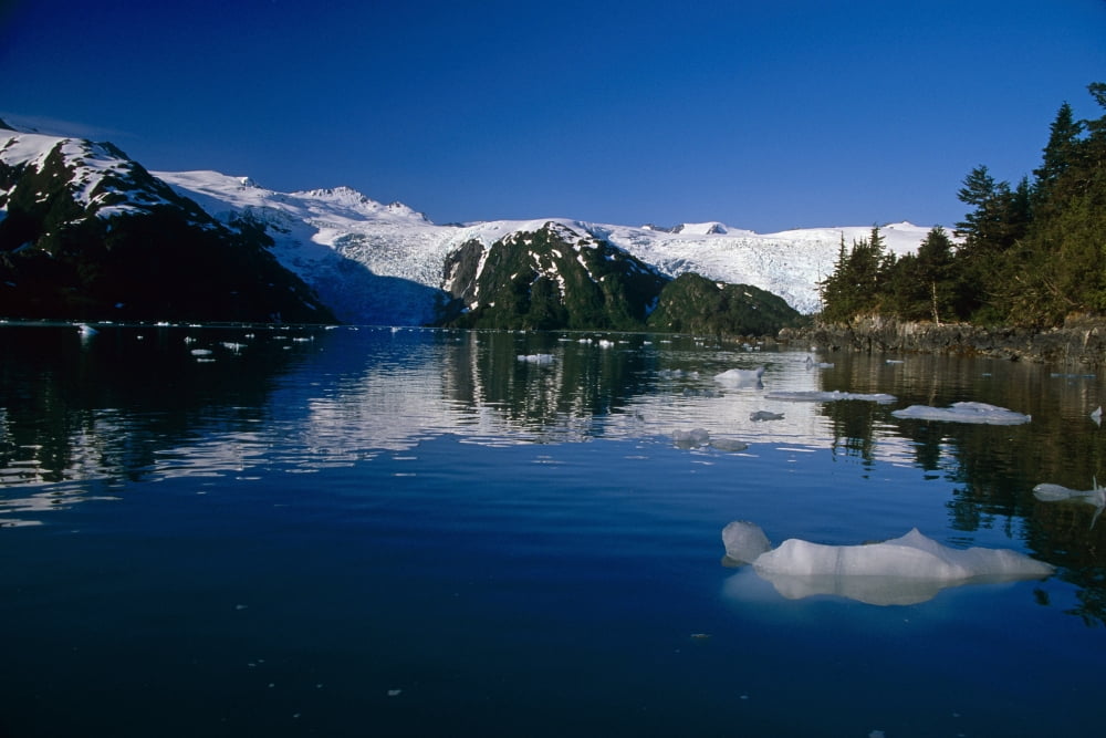 Blackstone Bay Blackstone Glacier Pws Summer Alaska Canvas Art - Jeff Schultz Design Pics (34 x 22)