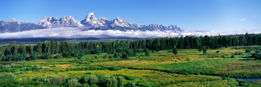 Blacktail Ponds with mountain range in the background Teton Range Grand Teton National Park Wyoming USA Canvas Art - Panoramic Images (6 x 18)