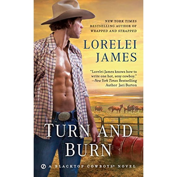Pre-Owned Turn and Burn (Mass Market Paperback) 1101990279 9781101990278
