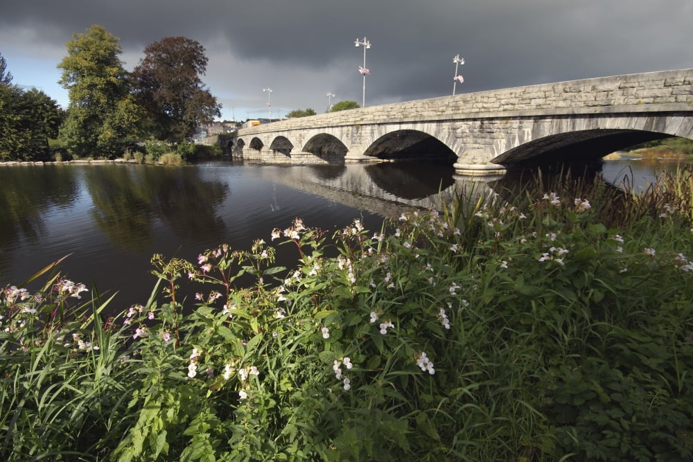 Blackwater River In Munster Region Fermoy County Cork Ireland Canvas Art - Trish Punch Design Pics (38 x 24)