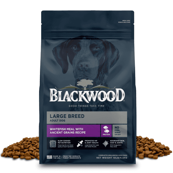 Blackwood Dry Dog Food Large Breed Whitefish Meal with Ancient Grains 10 lb.
