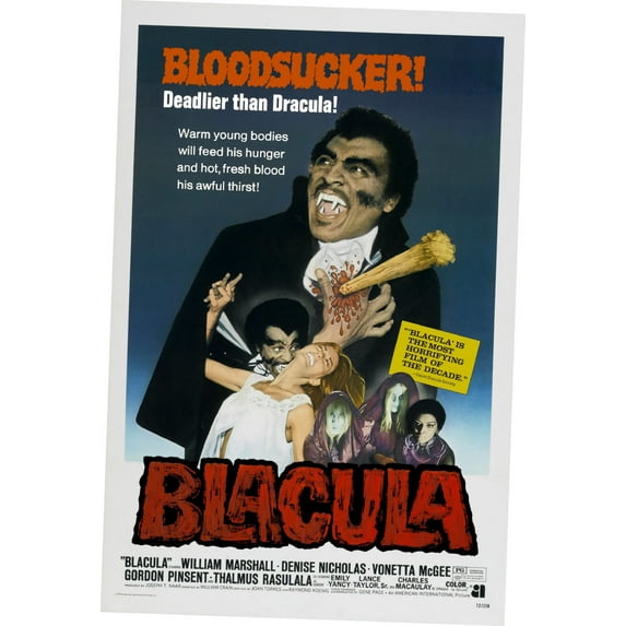 Blacula Movie Poster 12x16 Print on Metal Sign 12in x 16in Multi-Color Square Adults Best Posters