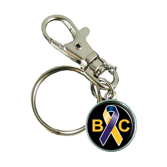 Bladder Cancer Awareness Keychain Support Silver Plated Jewelry Key Chain