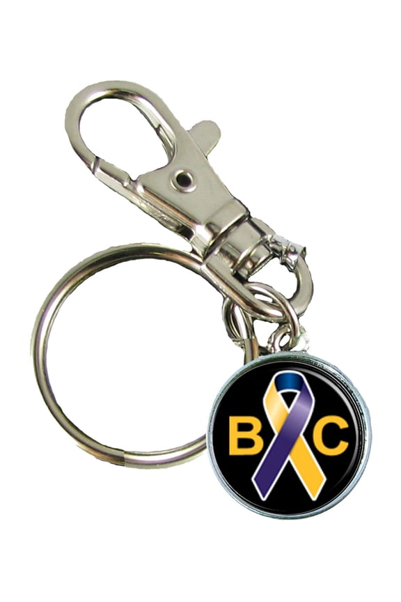 Bladder Cancer Awareness Keychain Support Silver Plated Jewelry Key Chain