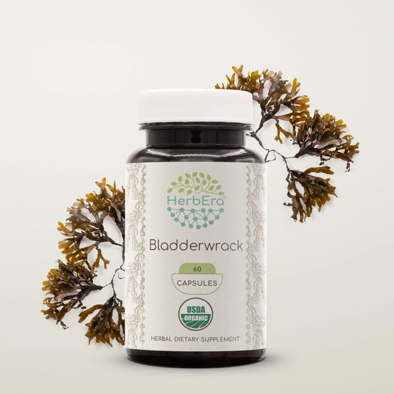 HerbEra Bladderwrack Capsules, Organic Herbal Dietary Supplement for Thyroid Function Support, Certified Organic Bladderwrack (Fucus vesiculosus) Dried Plant Capsules, Natural, 60 Capsules