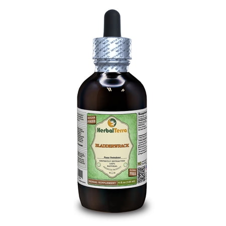 Bladderwrack Dry Entire Plant KETO Friendly Alcohol-Free Absolutely Natural Expertly Extracted by Trusted HerbalTerra Brand Liquid Extract. Proudly made in USA. Glycerite 4 Fl.Oz
