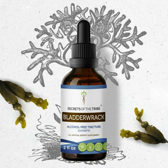 Secrets Of The Tribe Bladderwrack Tincture Dietary Supplement, Natural Herbal Extract for Thyroid Function Support, Bladderwrack (Fucus vesiculosus) Dried Plant, Alcohol-Free Extract, Drops 2 oz