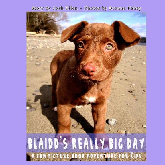 Blaidd's Really Big Day: A Fun Picture Book Adventure, (Paperback)