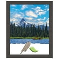 thumbnail image 1 of Blaine Light Pewter Narrow Picture Frame, Photo Frame, Art Frame, 1 of 10