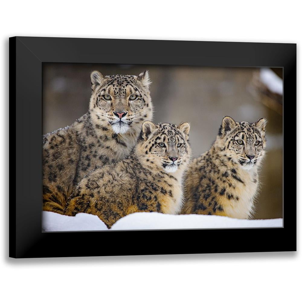 Blair, Louis 18x14 Black Modern Framed Museum Art Print Titled - Family