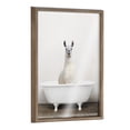 thumbnail image 1 of Blake Alpaca in the Tub Color 18 in x 24 in Framed Photography Art Prints, by Kate and Laurel, 1 of 6