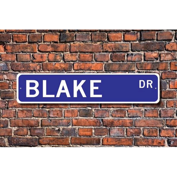 Blake Blake Sign Blake Gift Blake Decor Child Gift Grandchild Gift Blake Birthday Gift Metal Aluminum Sign - Size: 16 x 4 Inches