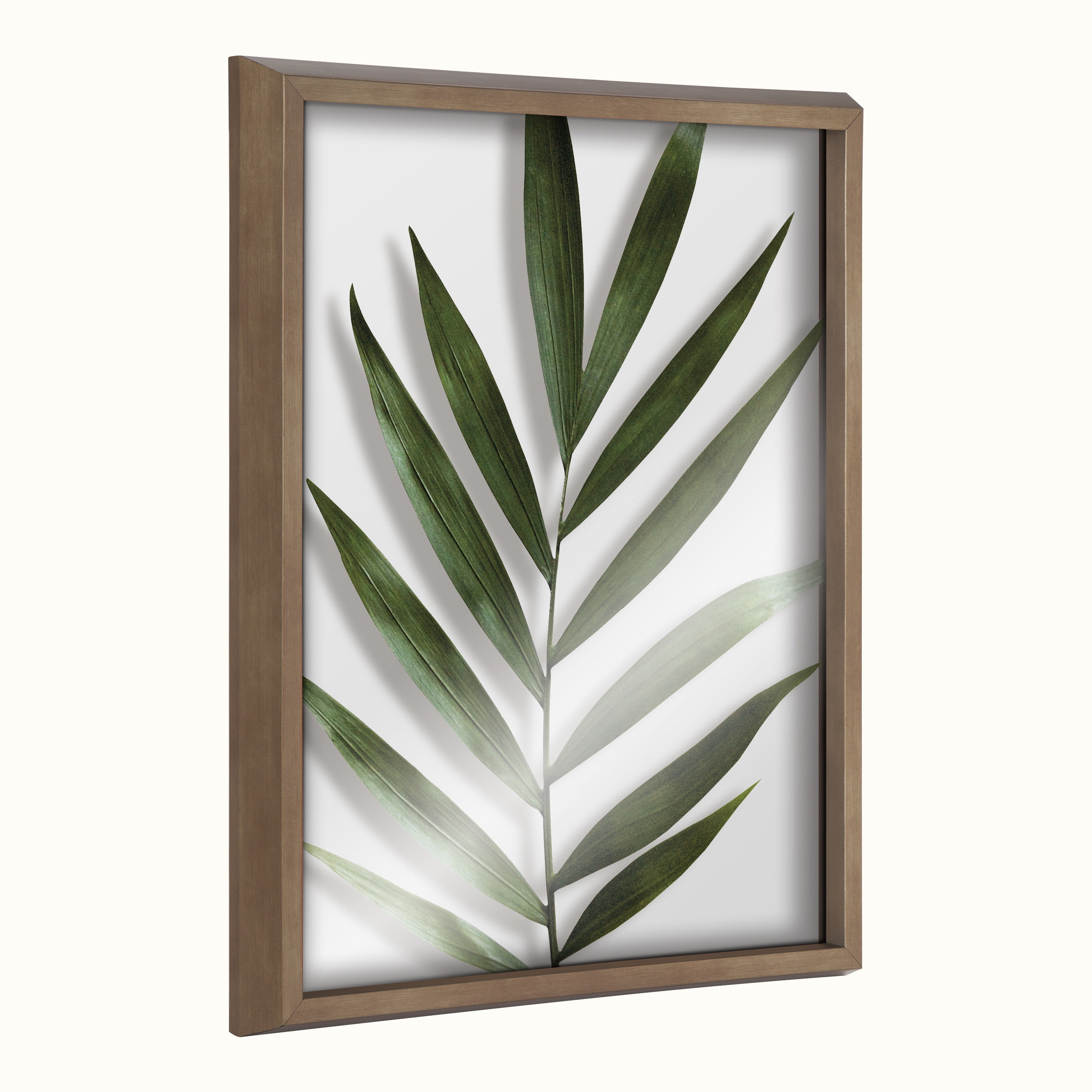 Gold Framed Botanical Print on Glass, 16" x 20"