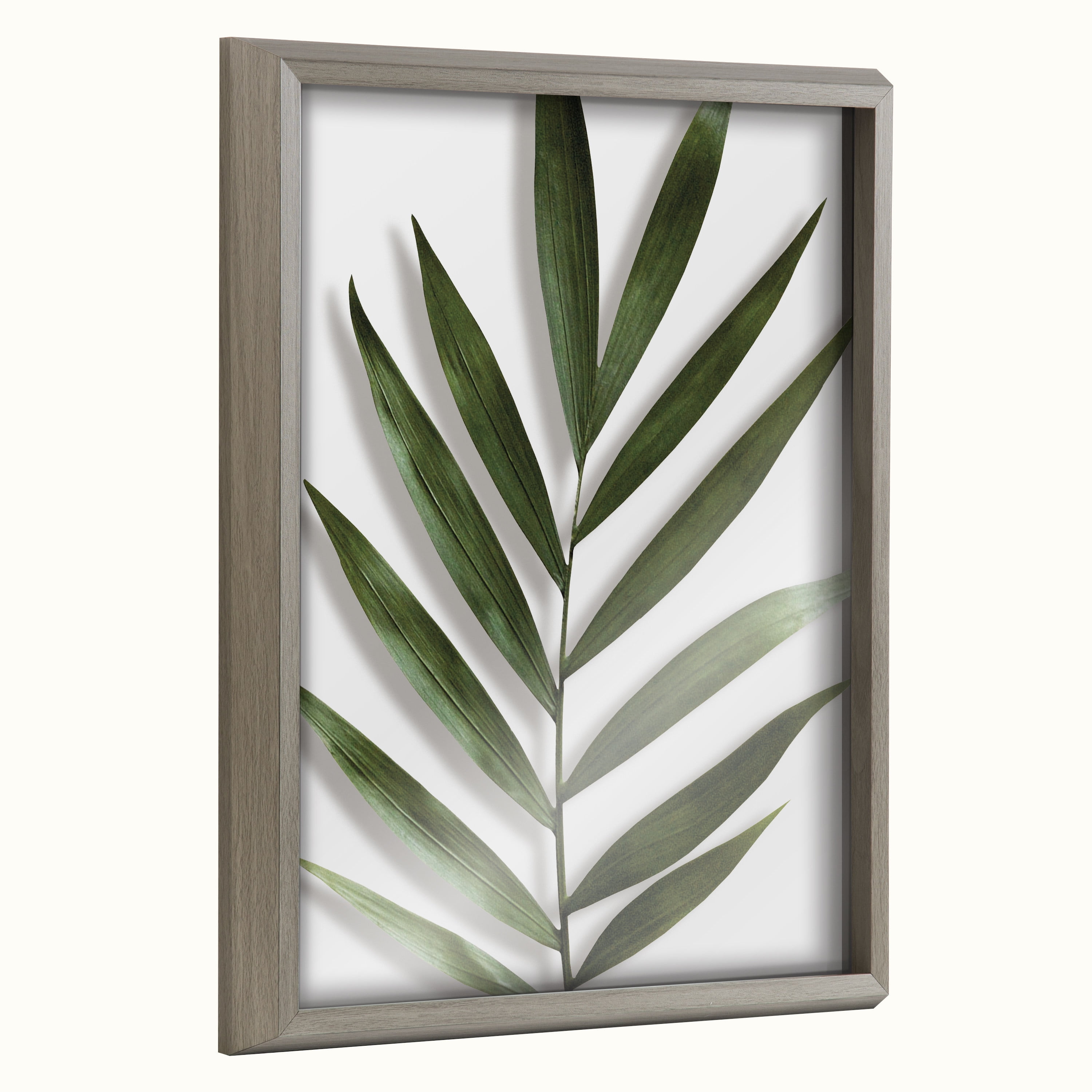 Gray Polystyrene Framed Botanical Print 16" x 20"