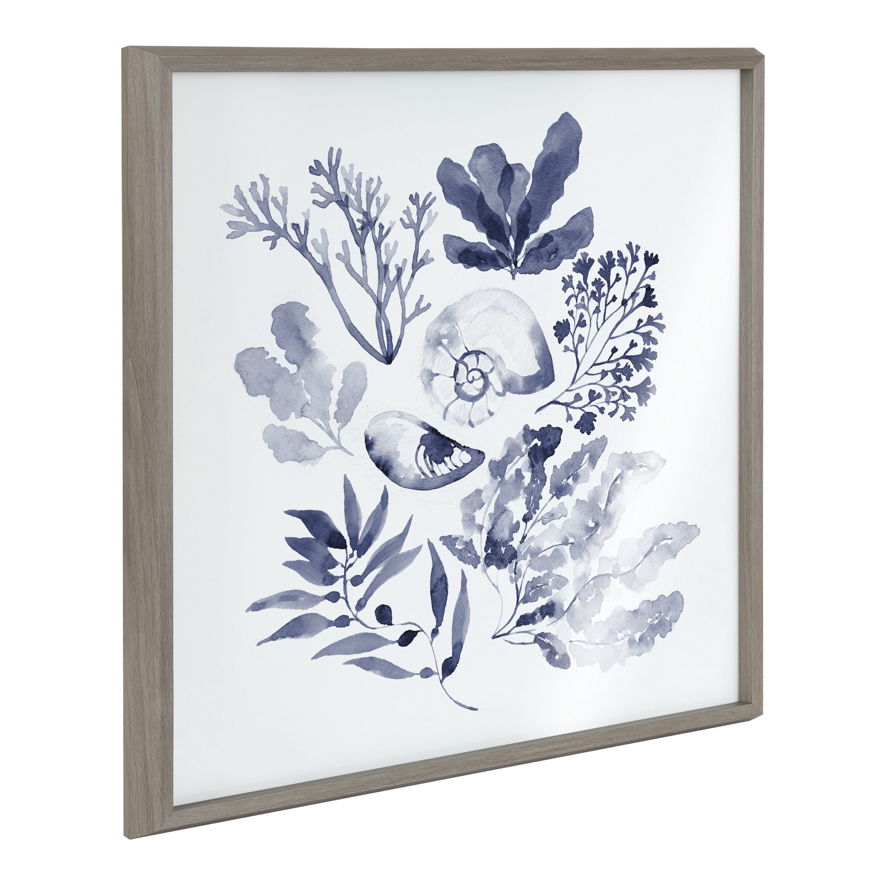 Blake Indigo Shells 24 in x 24 in Framed Painting Art Prints, by Kate and Laurel