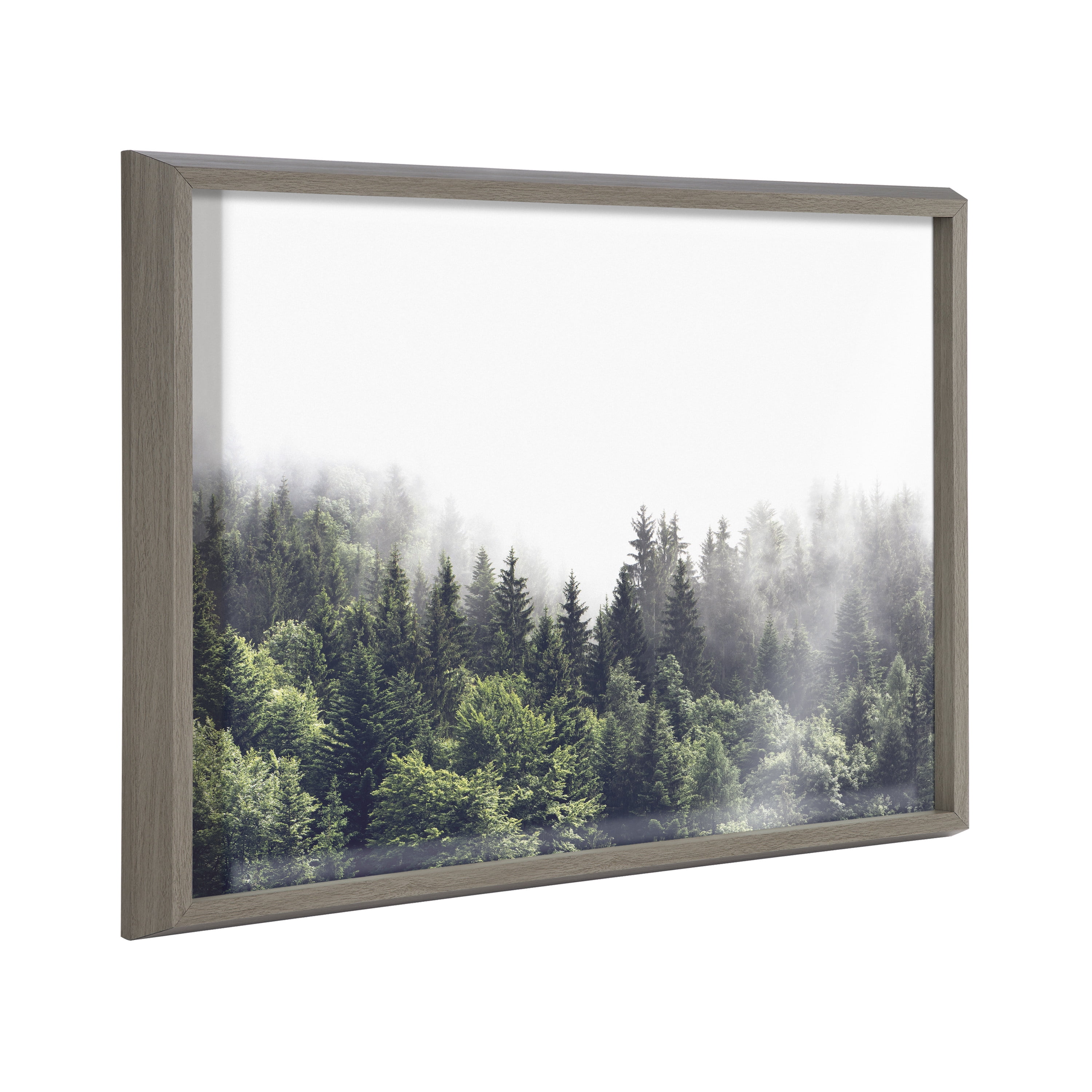 Blake Lush Foggy Green Forest 24 in x 18 in Framed Photography Art Prints, by Kate and Laurel