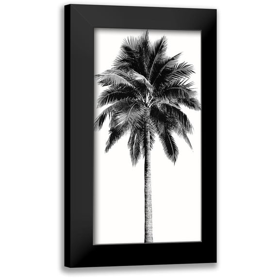 Blake, Madeline 11x18 Black Modern Framed Museum Art Print Titled - Palm Tree I