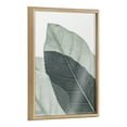 thumbnail image 1 of Blake Modern Green Leaf Botanical II 18 in x 24 in Framed Photography Art Prints, by Kate and Laurel, 1 of 9