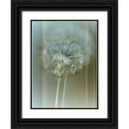 thumbnail image 1 of Blake, W. 19x24 Black Ornate Wood Framed with Double Matting Museum Art Print Titled - Flaura II, 1 of 4