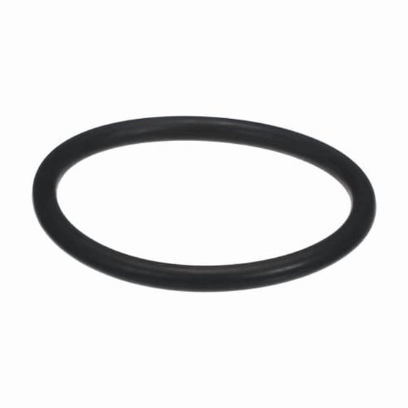Blakeslee DW13015 Genuine OEM O-ring - Booster, RC44