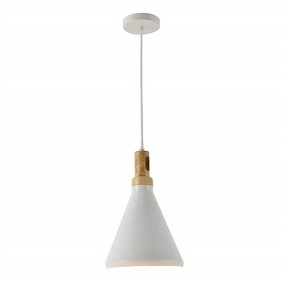 Blanc Collection One Light Pendant