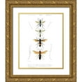 thumbnail image 1 of Blanchard 15x18 Gold Ornate Wood Framed with Double Matting Museum Art Print Titled - Antique Bees II, 1 of 4