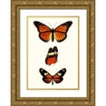 thumbnail image 1 of Blanchard 18x24 Gold Ornate Wood Framed with Double Matting Museum Art Print Titled - Entomology Series II, 1 of 4