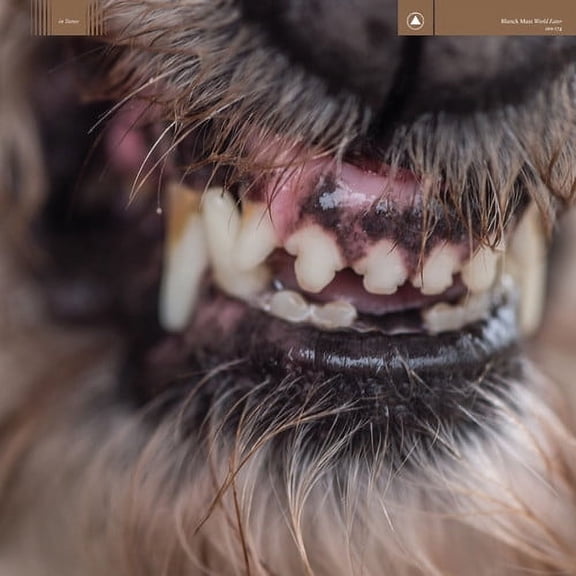 Blanck Mass - World Eater - Music & Performance - CD