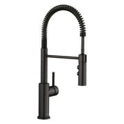 Blanco 401917 Catris 1.5 GPM Single Hole Pre-Rinse Pull Down Kitchen Faucet - PVD Steel