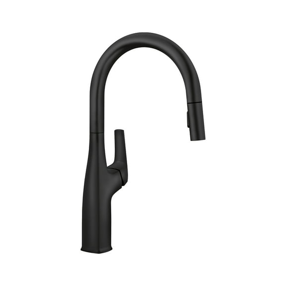 Rivana High Arc Single Handle Gooseneck Pull-Down Sprayer Kitchen Faucet, Matte Black