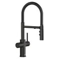 thumbnail image 1 of Blanco 442990 Catris Filter-Ready 1.5 GPM Single Hole Pre-Rinse Pull Down Kitchen Faucet -, 1 of 6