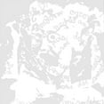 thumbnail image 1 of Blanco, 1 of 1