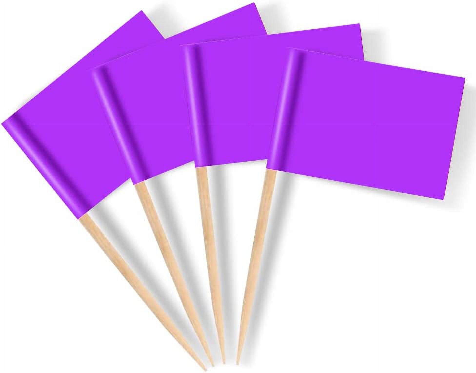 Blank Flag Toothpicks Food Labels for Party Buffet Small Mini Toothpick ...