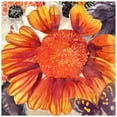 thumbnail image 1 of "Blanket Flower" Painting Print on Wrapped Canvas, 1 of 7