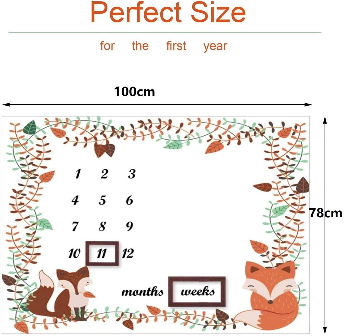 Blanket Milestones Blanket Boys and Girls Weekly Monthly Milestones