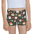 Easygdp Dragon With Hohoho Girls Hipster Cotton Underwear Little Girls