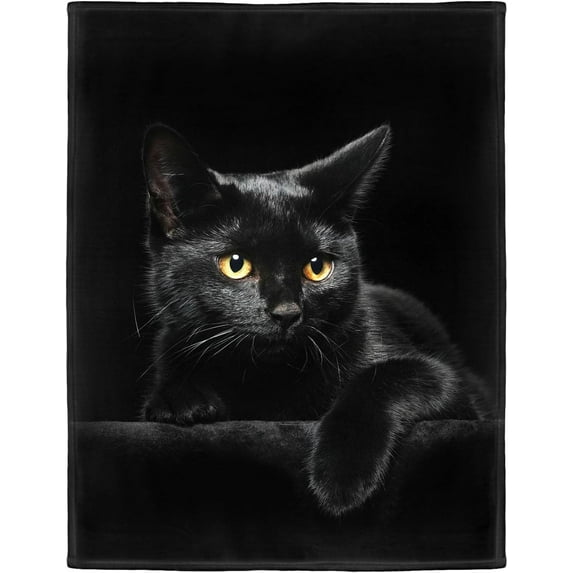 Blanket Soft Fluffy Flannel Fleece Throw Black Cat Black 40\