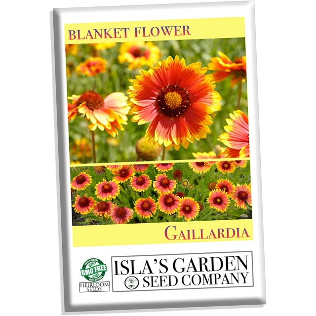 "Blanketflower" Common Gaillardia Indian Perennial Flower Seeds, 500+ Heirloom Seed, (Gaillardia