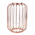 thumbnail image 1 of Blantye Nordic Lantern-Shaped Wrought Iron Vase Glass Iron Tabletop Flower Vase, 1 of 8