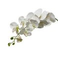 Blarkrus Artificial Phalaenopsis Fake Potted Plant Flower Orchid Decorj