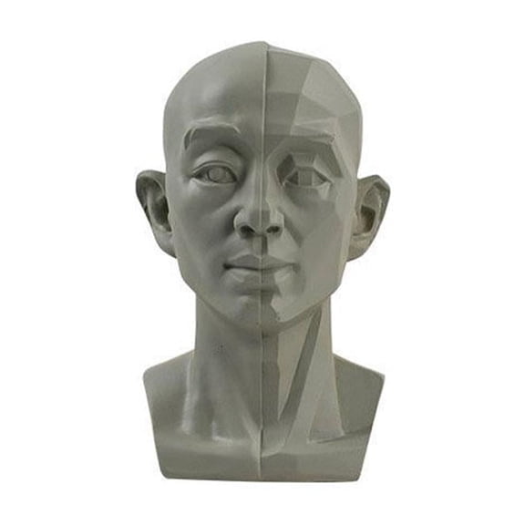 Blarkrus Planar Head Model for Artists Learn Planes of Face Standard Planar Head Male Head Model Human Manikin Head Model for Artists Drawing Skecthing Painting