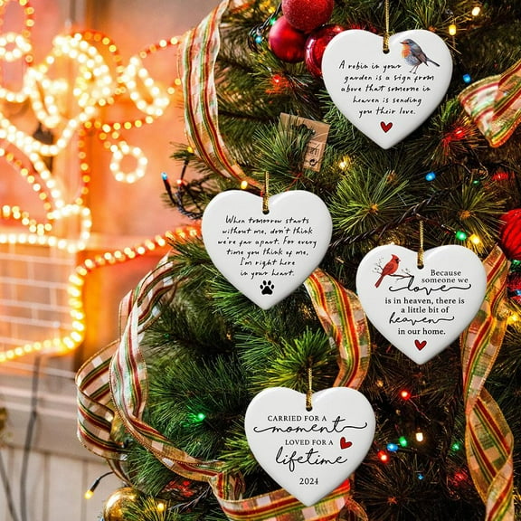 Blarkrus Robin Memorial Plaque Bereavement Family Love Hanging Grave m Sign Gift