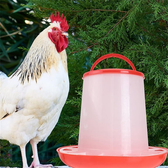 Blasgw Chicken Plastic Food Feeding Container with Lid and Handle - Suitable for Poultry Plastic Food Feeder Chicken Chick Hen Poultry Lid Handle Multicolour