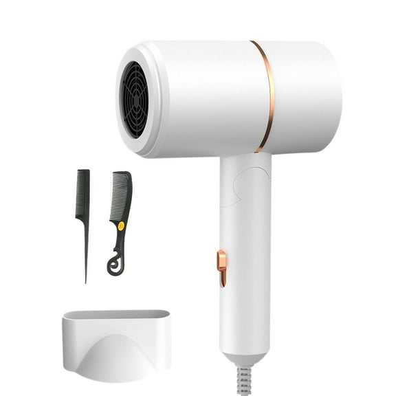 Blasgw Gradient Blue Light Ionic Hair Dryer - Professional Salon Quality Blow Dryer with Negative Ion Technology, Constant Temperature & Dual Speed Settings, Lightweight White