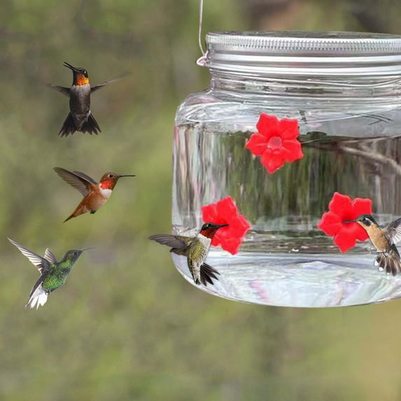 Blasgw Hummingbird Feeding Set of 3 - Portable, Hanging Outdoor Feeders with Clear Flowing Reservoirs, Ideal for Garden, Yard, and Patio Decoration, 500ml Each B